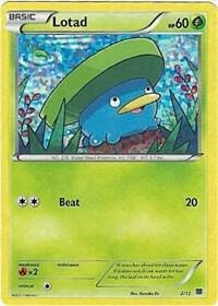 Lotad 2 12