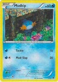Mudkip 5 12